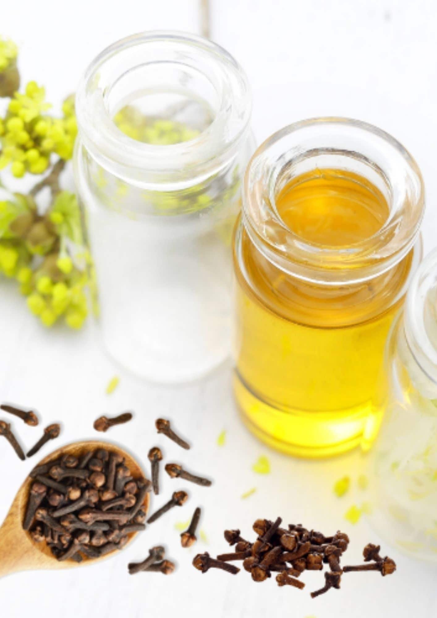 Clove Oil Clove Oil