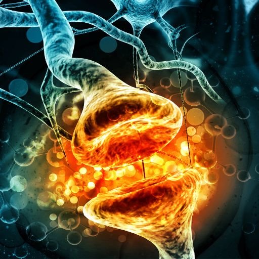 REGULATE HORMONES